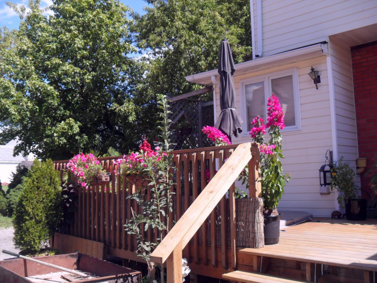 Homestead House B&B Χάμιλτον Εξωτερικό φωτογραφία